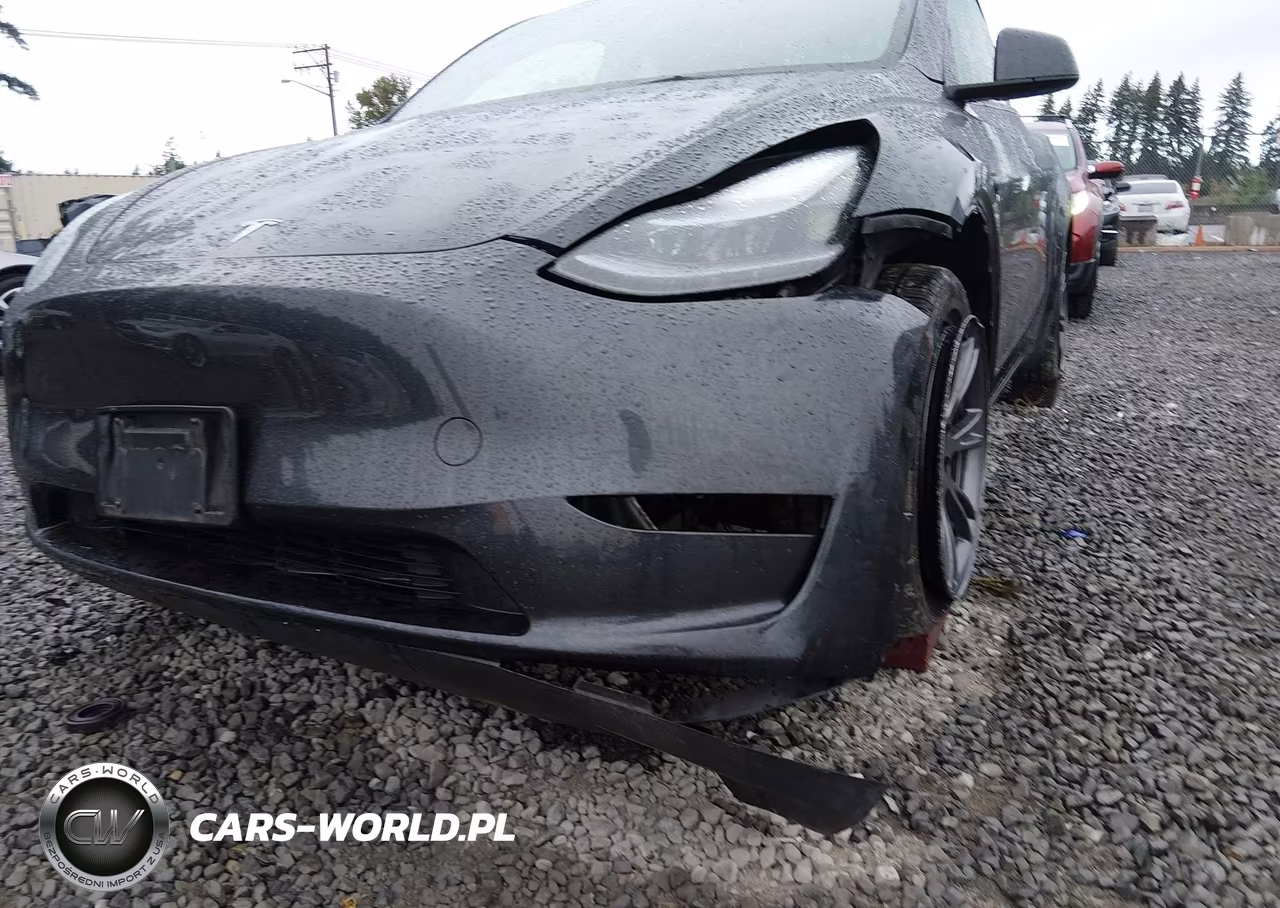 2024 Tesla Model Y Long Range Dual Motor All-Wheel Drive VIN:7SAYGDEE2RF166273 - 6