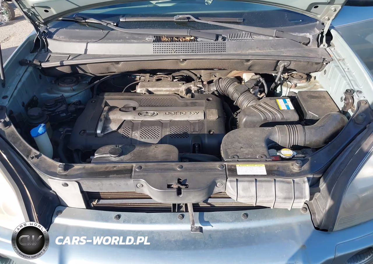 2006 Hyundai Tucson Gl VIN:KM8JM12BX6U414641 - 10