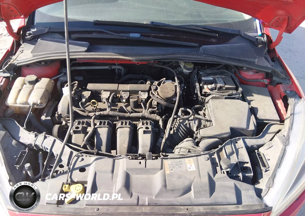 2015 Ford Focus Se VIN:1FADP3F21FL244521 - 10