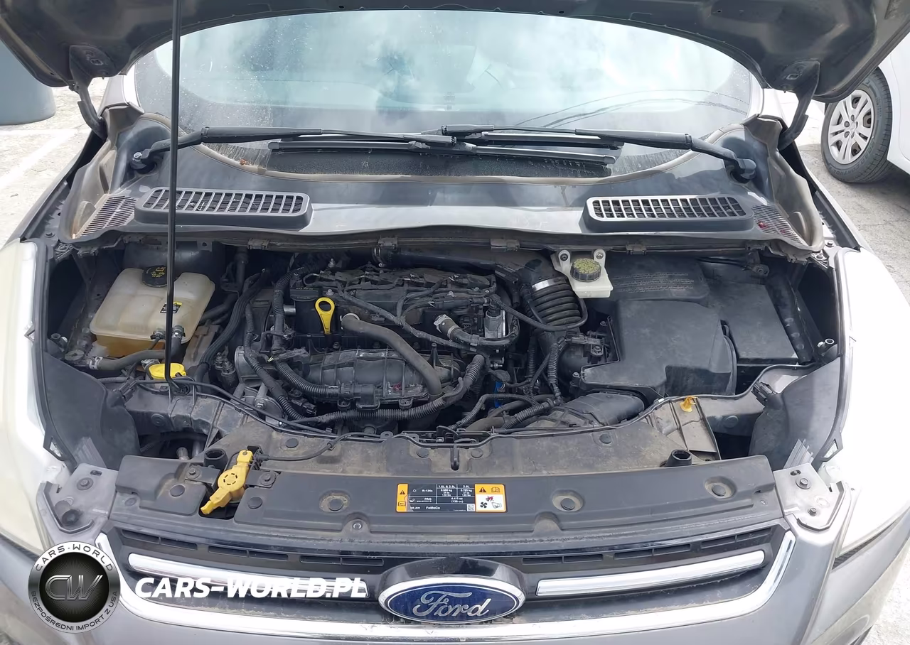 2013 Ford Escape Sel VIN:1FMCU0HX8DUC78707 - 10