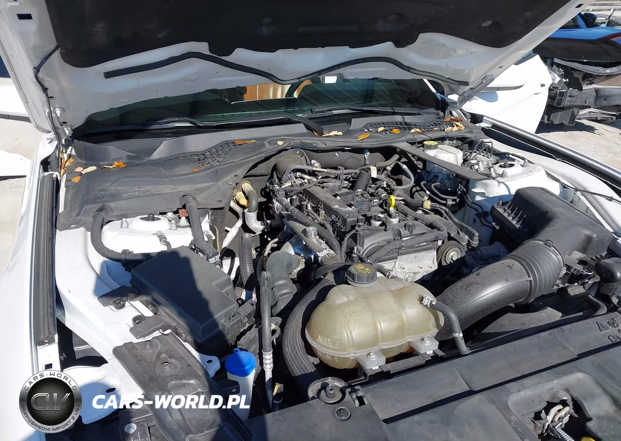 2021 Ford Mustang Ecoboost Premium VIN:1FATP8UH7M5108444 - 10