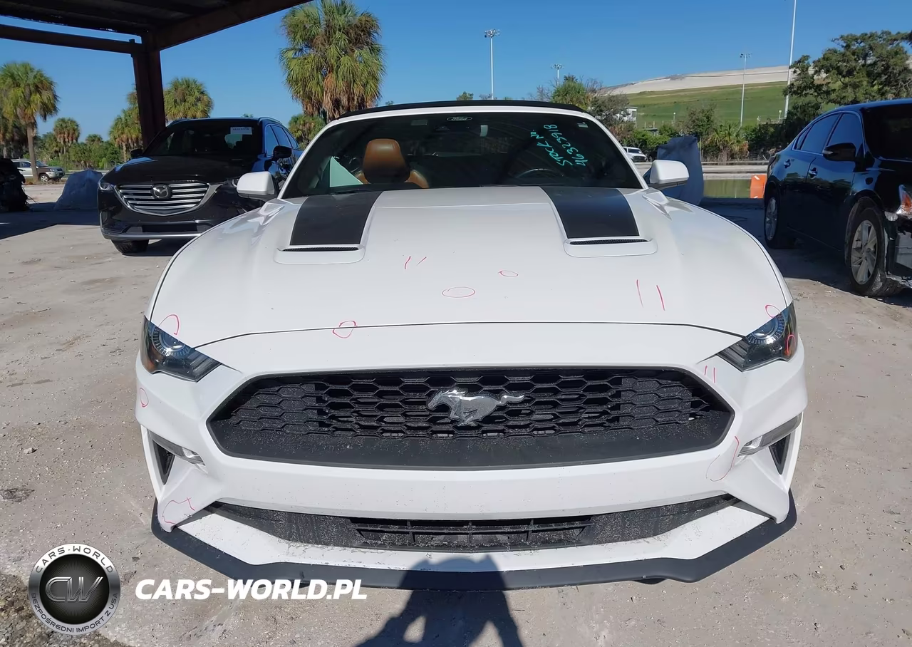 2021 Ford Mustang Ecoboost Premium VIN:1FATP8UH7M5108444 - 13