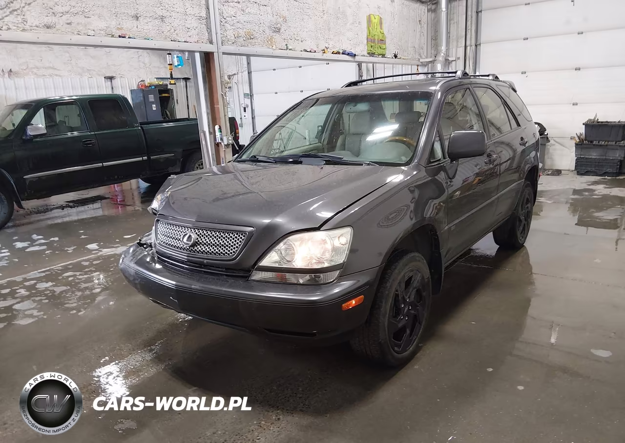 2002 Lexus Rx 300 VIN:JTJHF10U820278459 - 2