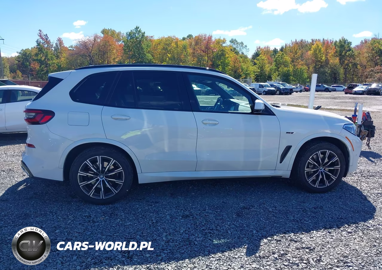 2023 BMW X5 Phev xDrive45E VIN:5UXTA6C04P9P23136 - 13