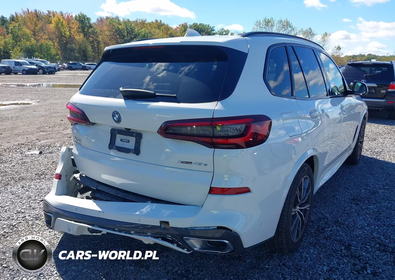 2023 BMW X5 Phev xDrive45E VIN:5UXTA6C04P9P23136 - 17