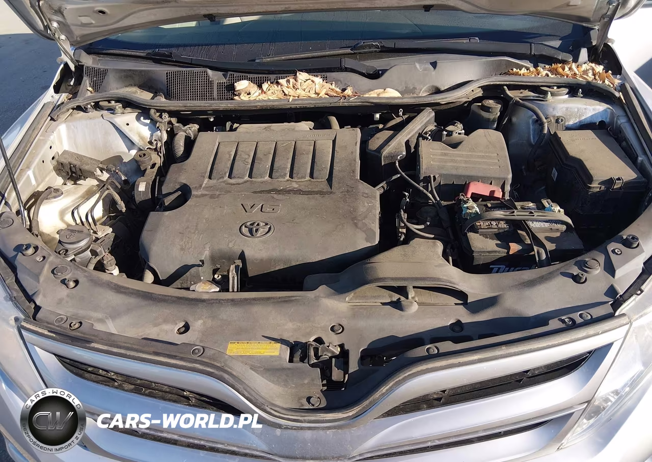 2014 Toyota Venza Xle V6 VIN:4T3BK3BB9EU100068 - 10