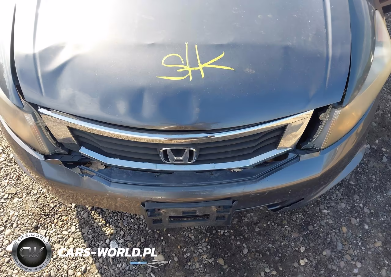 2010 Honda Accord 2.4 Lx-P VIN:1HGCP2F48AA021898 - 10