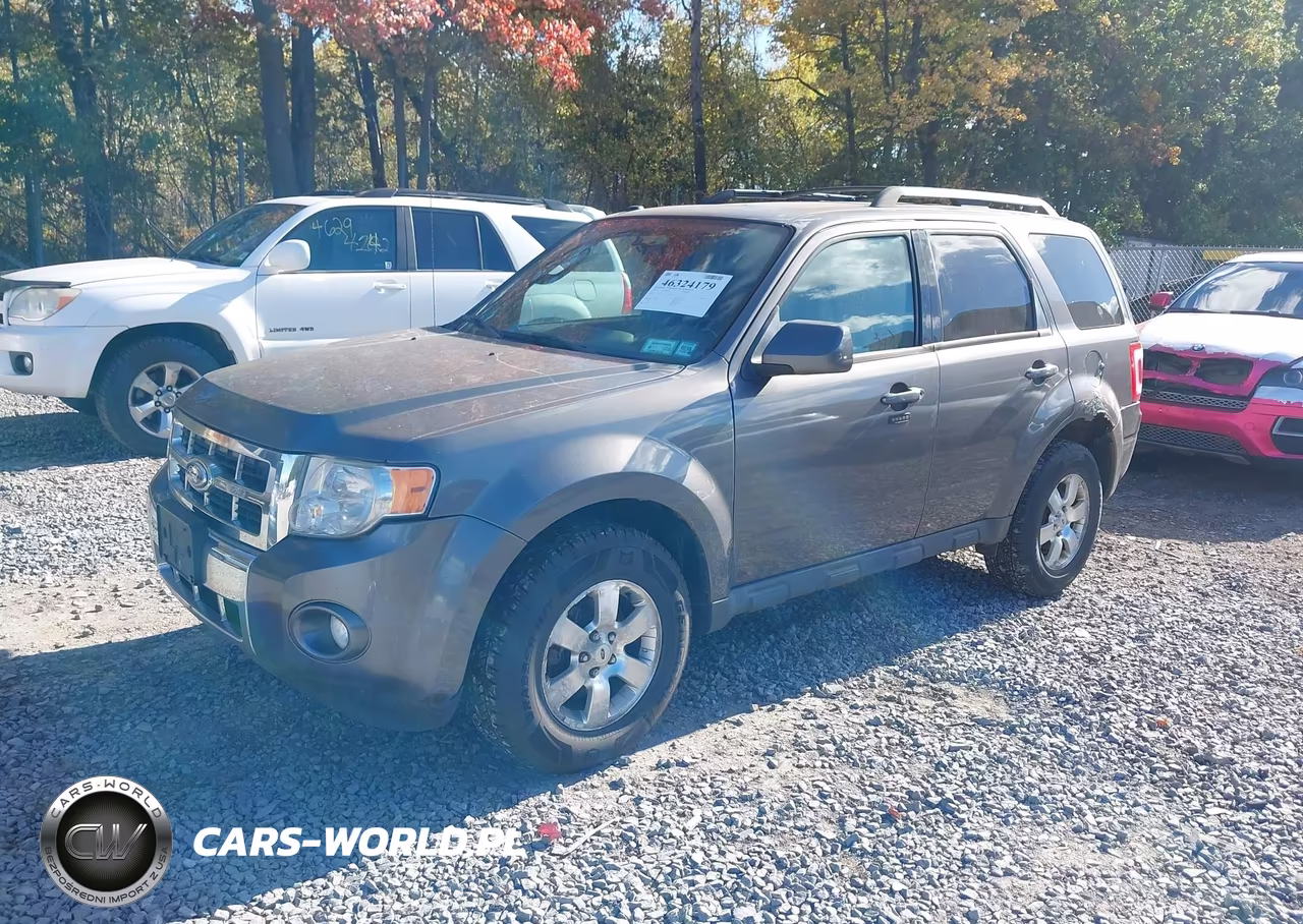 2011 Ford Escape Limited VIN:1FMCU9EG3BKC39685 - 2