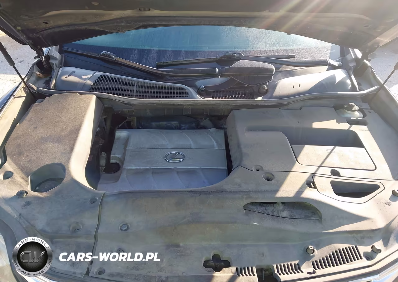 2011 Lexus Rx 350 VIN:JTJZK1BA1B2412039 - 10