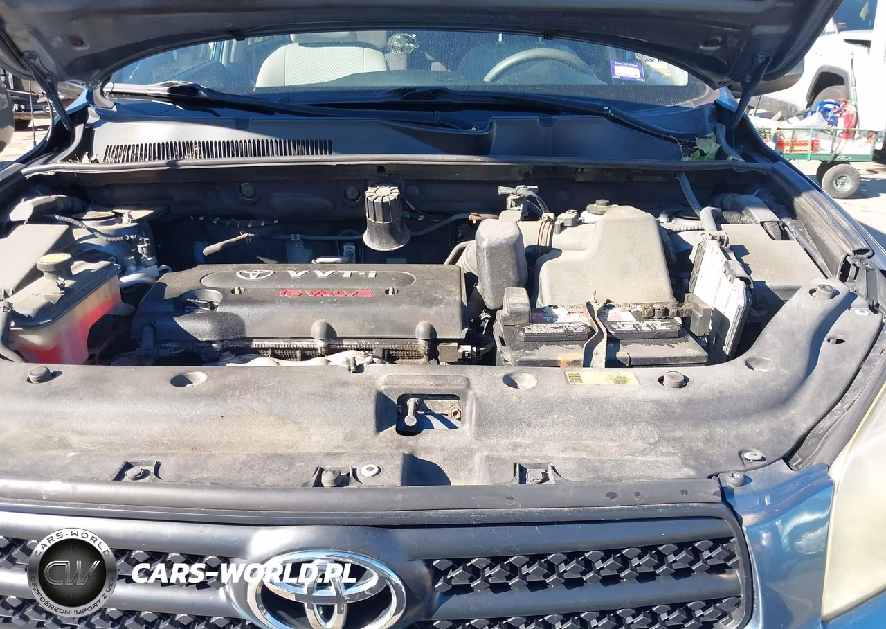 2006 Toyota Rav4 VIN:JTMBD35V265007952 - 10