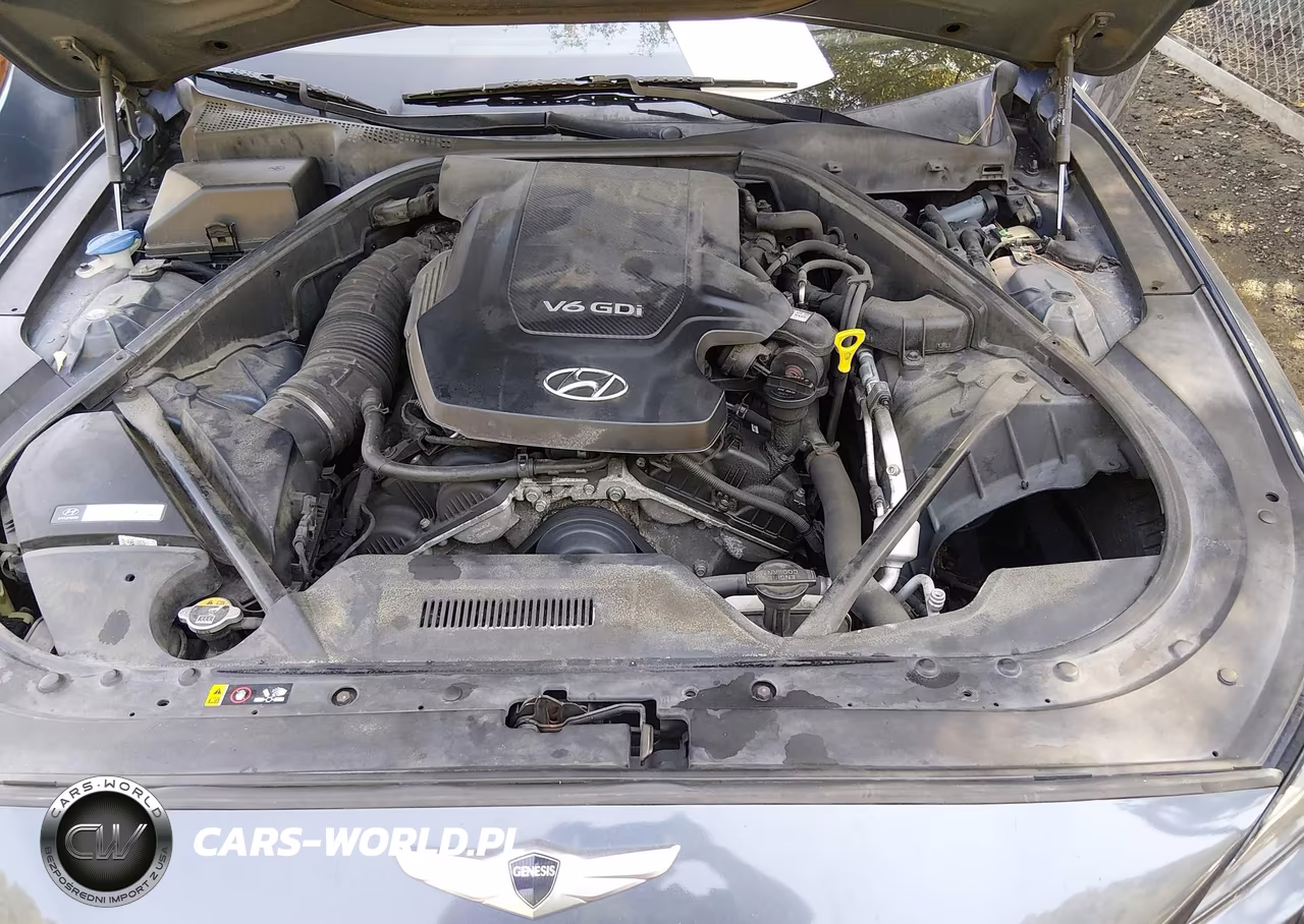 2016 Hyundai Genesis 3.8 VIN:KMHGN4JE2GU108510 - 10