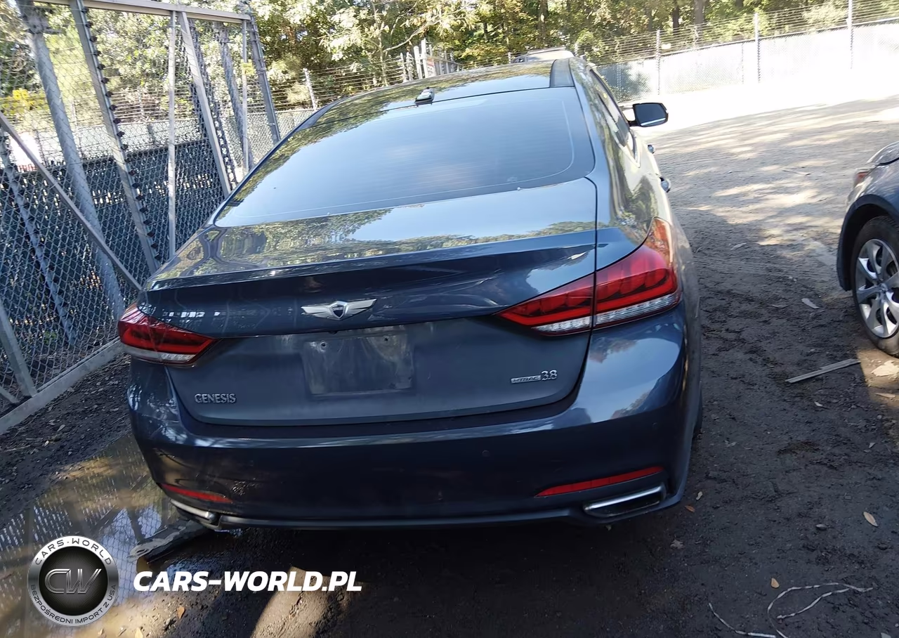 2016 Hyundai Genesis 3.8 VIN:KMHGN4JE2GU108510 - 16