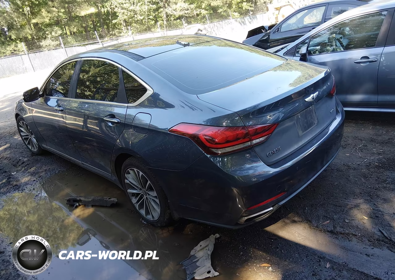 2016 Hyundai Genesis 3.8 VIN:KMHGN4JE2GU108510 - 3