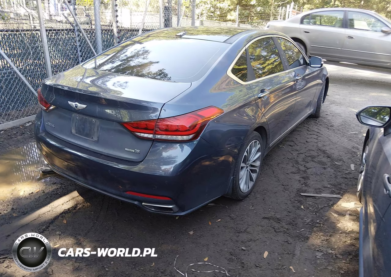 2016 Hyundai Genesis 3.8 VIN:KMHGN4JE2GU108510 - 4