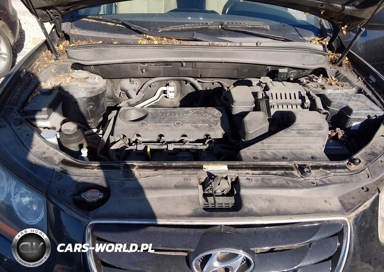 2010 Hyundai Santa Fe Gls VIN:5NMSGDAB2AH416421 - 10