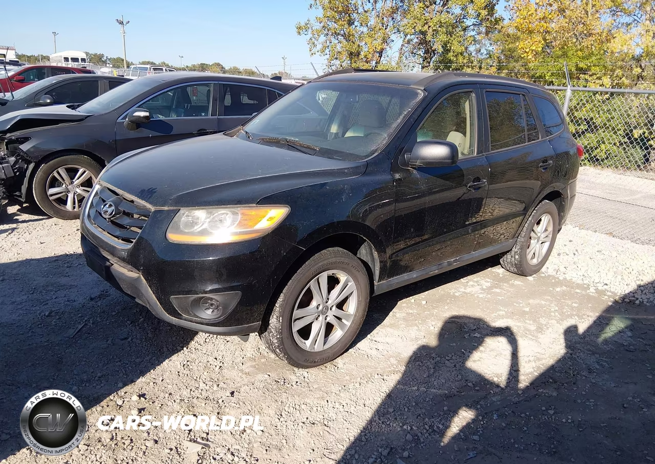 2010 Hyundai Santa Fe Gls VIN:5NMSGDAB2AH416421 - 2