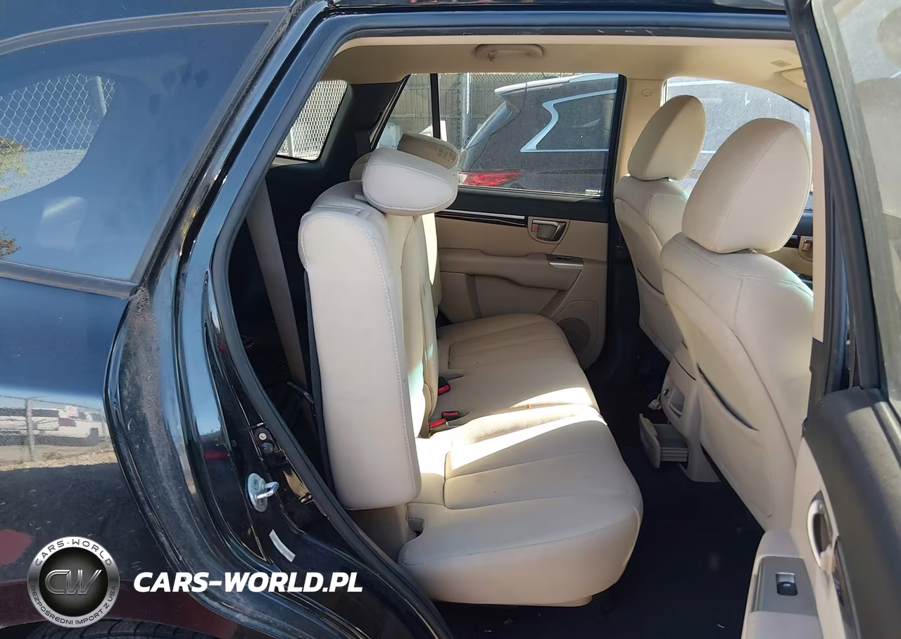 2010 Hyundai Santa Fe Gls VIN:5NMSGDAB2AH416421 - 8