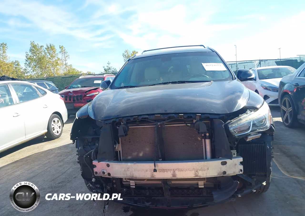 2016 Infiniti Qx60 VIN:5N1AL0MM0GC503699 - 13