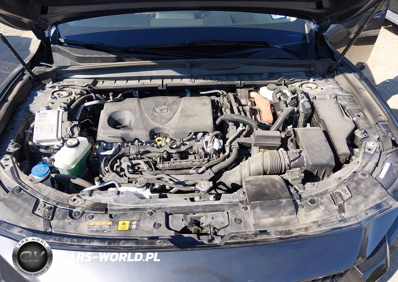 2025 Mazda Cx-50 Hybrid Premium Plus Package VIN:7MMVAAEW0SN133742 - 10