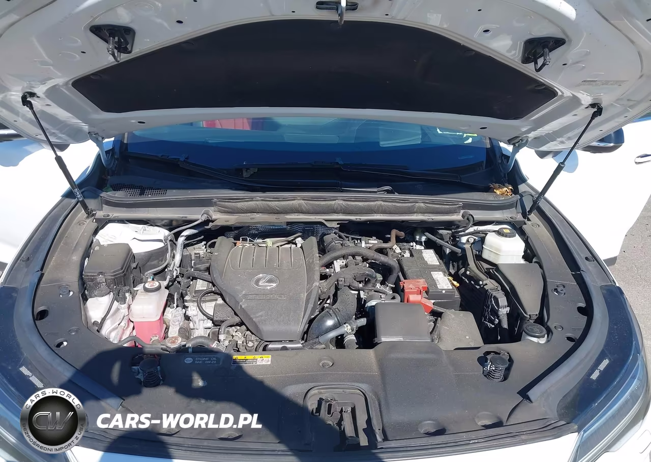2024 Lexus Rx 350 F Sport Handling VIN:2T2BAMCA8RC044487 - 10