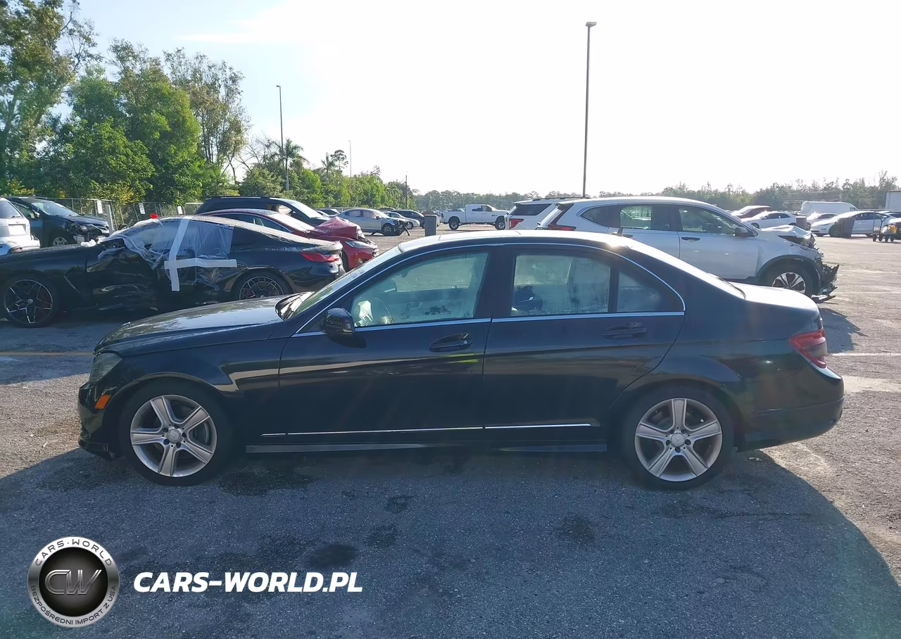 2010 Mercedes-Benz C 300 Luxury-Sport VIN:WDDGF5EB5AR099597 - 14