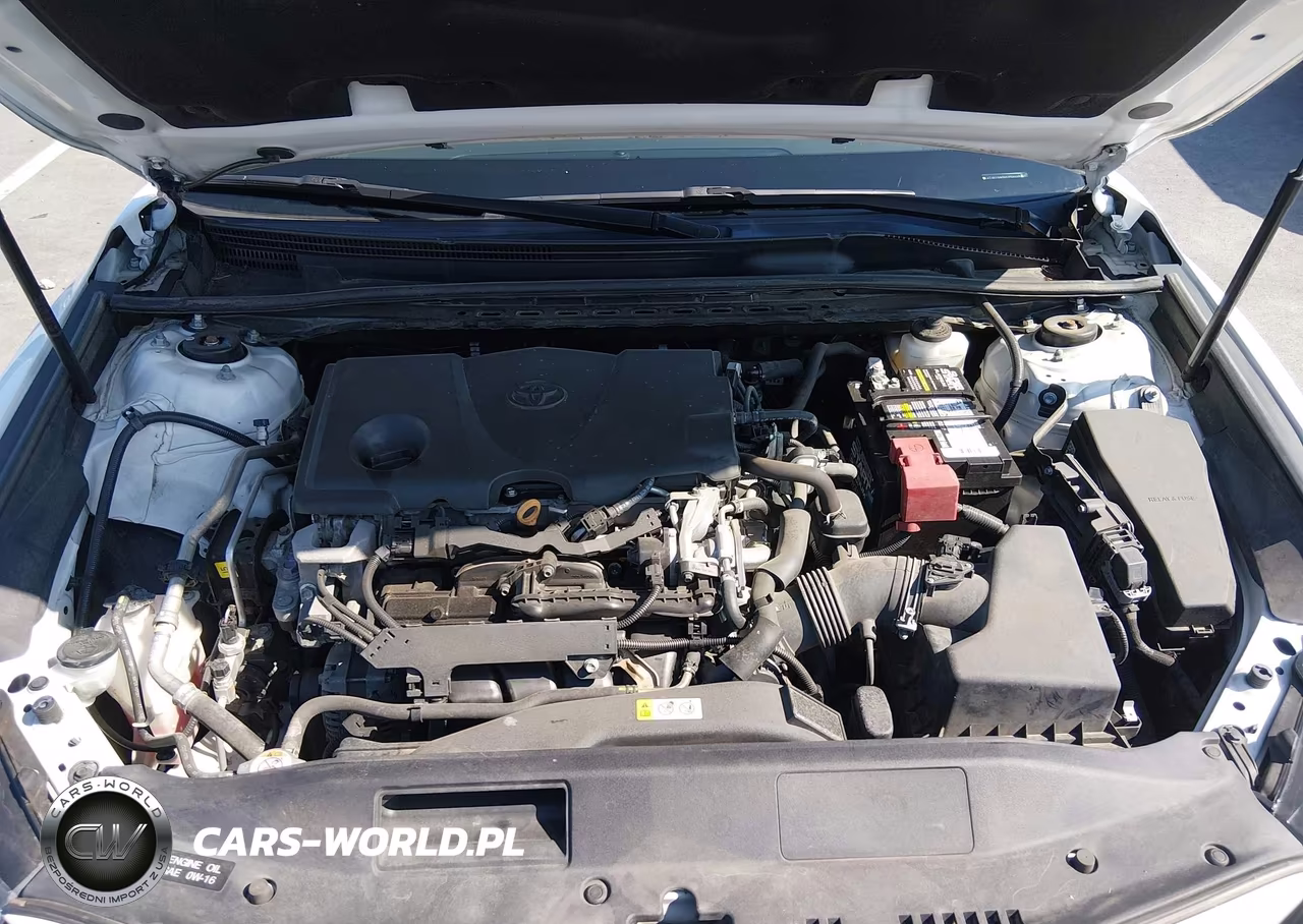 2019 Toyota Camry Le VIN:4T1B11HK5KU756447 - 10