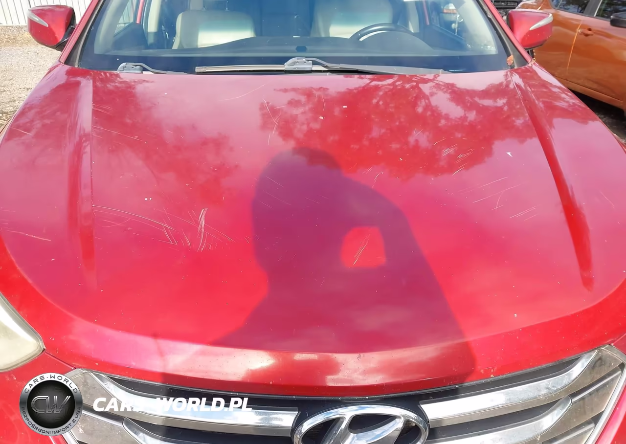 2013 Hyundai Santa Fe Sport VIN:5XYZU3LB5DG055604 - 12