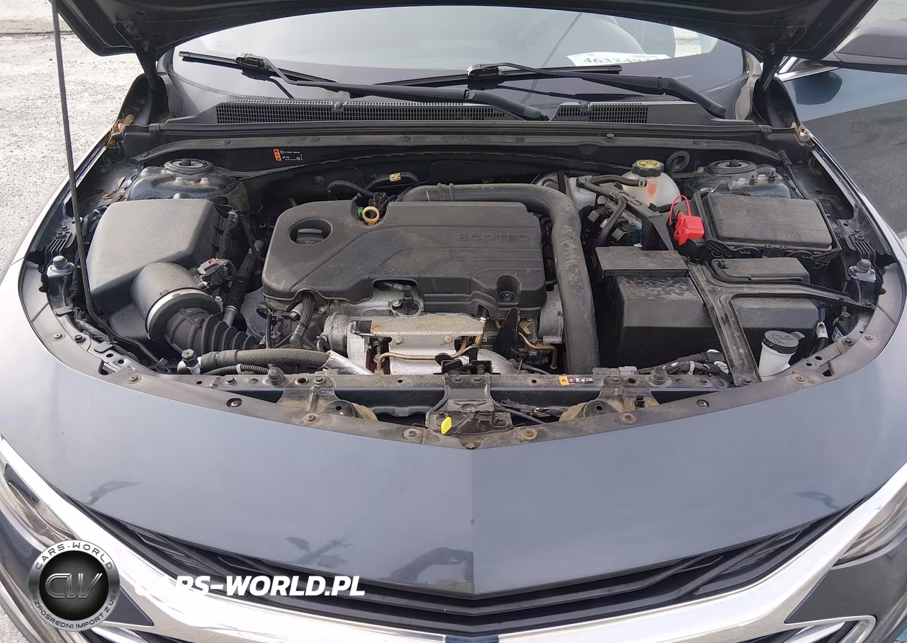 2020 Chevrolet Malibu Fwd 1Fl VIN:1G1ZC5ST9LF134051 - 10