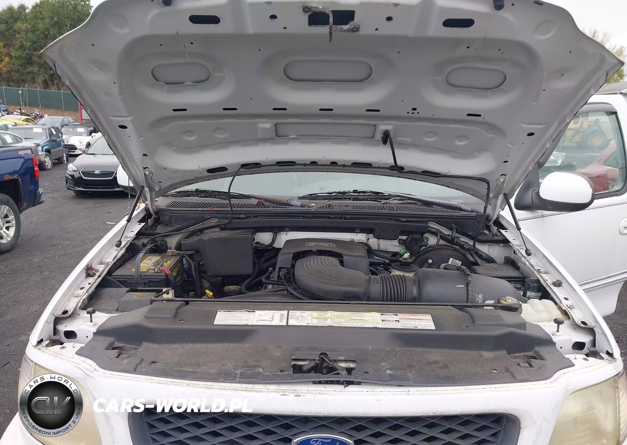 1998 Ford F-150 Lariat-Standard-Xl-Xlt VIN:1FTRF18LXWNA45162 - 10