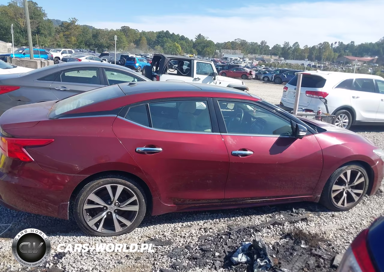 2017 Nissan Maxima 3.5 Platinum VIN:1N4AA6AP1HC375945 - 13