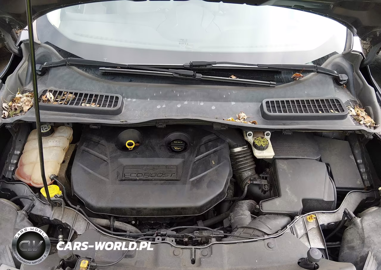 2013 Ford Escape Se VIN:1FMCU0G94DUB92412 - 10