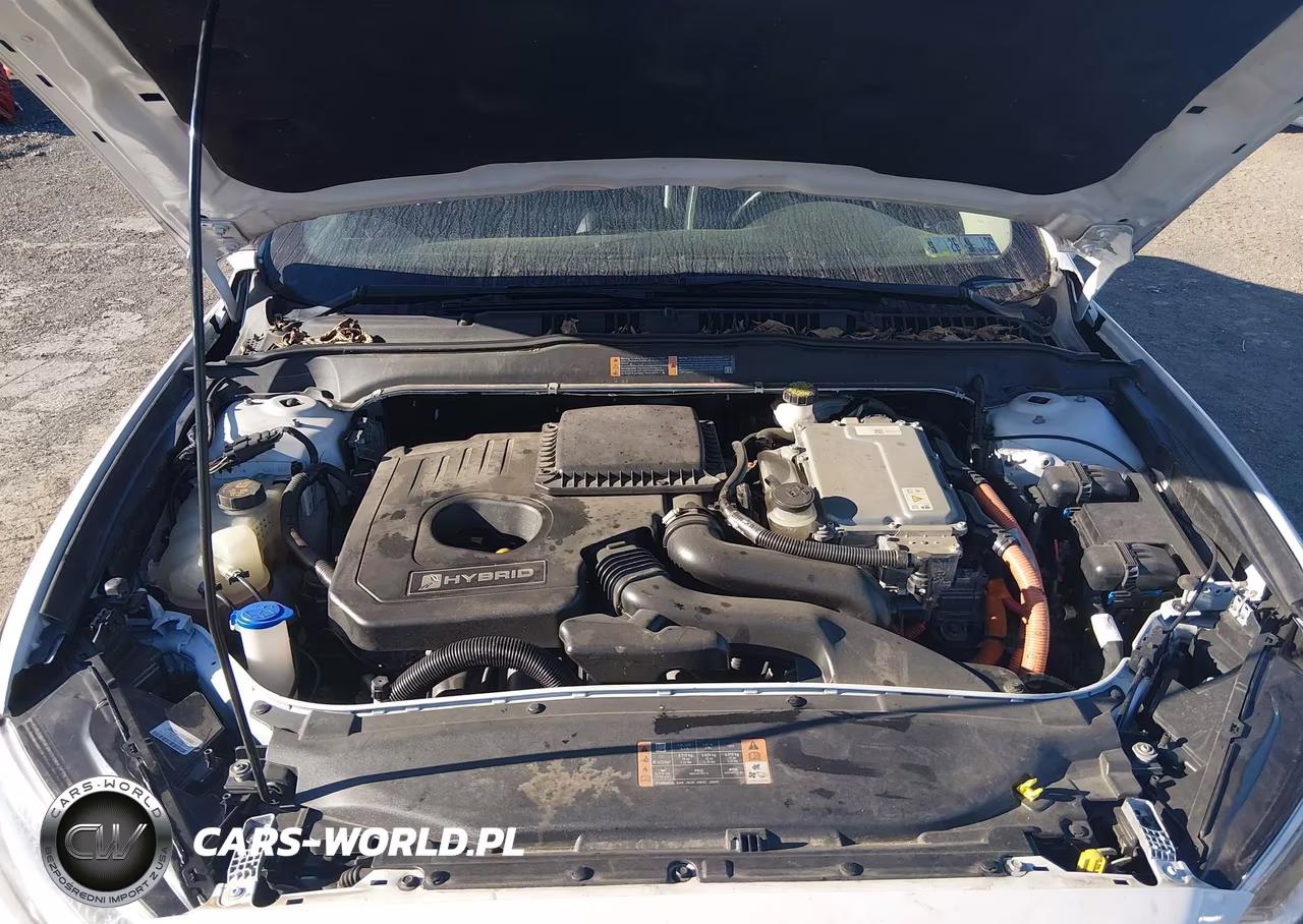 2018 Ford Fusion Hybrid Titanium VIN:3FA6P0RU5JR269257 - 10