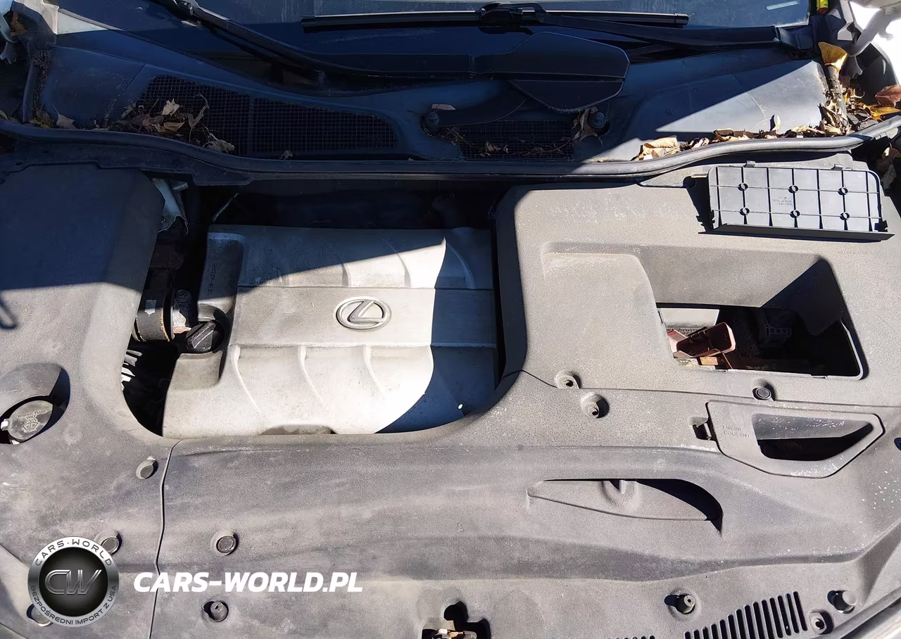 2010 Lexus Rx 350 VIN:2T2BK1BA1AC046311 - 10