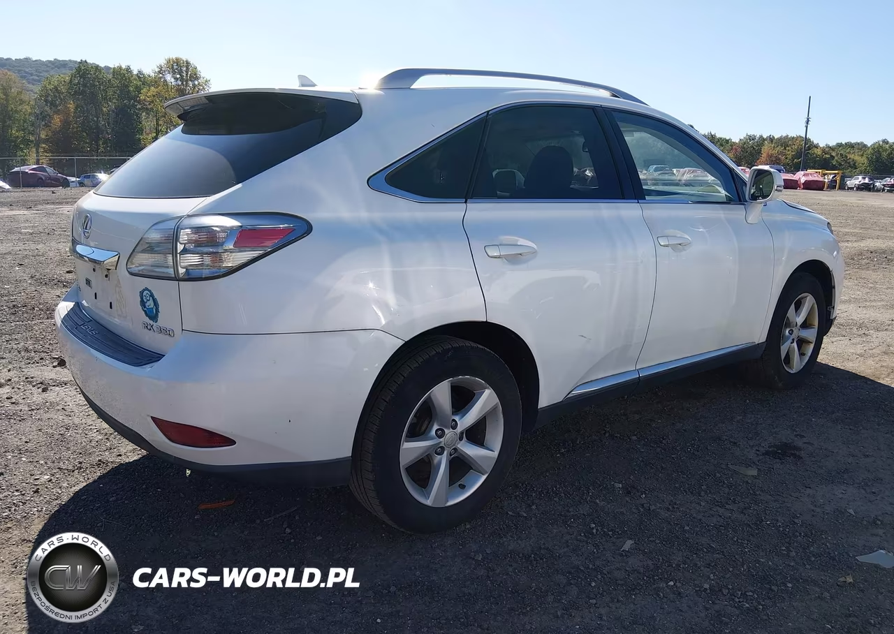 2010 Lexus Rx 350 VIN:2T2BK1BA1AC046311 - 4