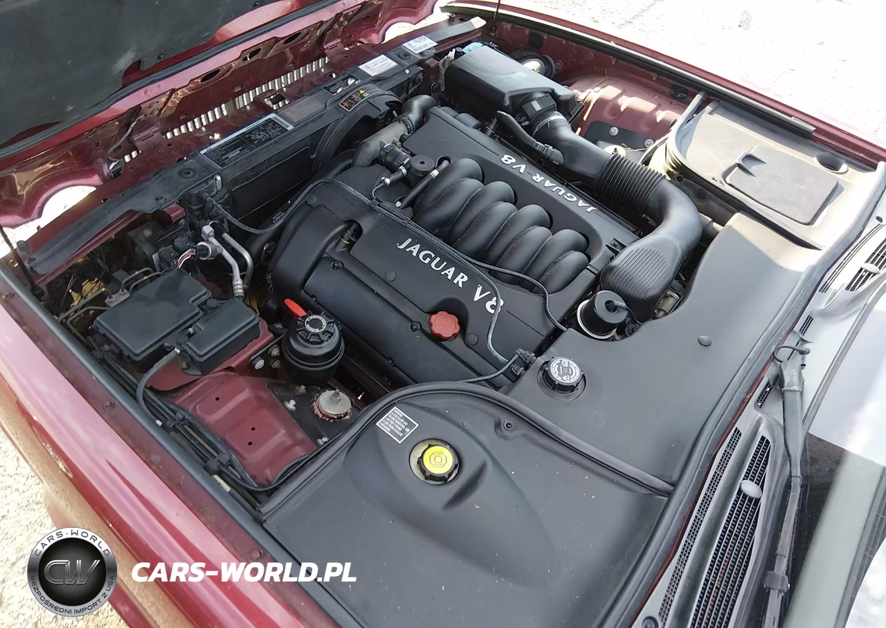 1998 Jaguar Xj8 VIN:SAJHX1249WC813351 - 10