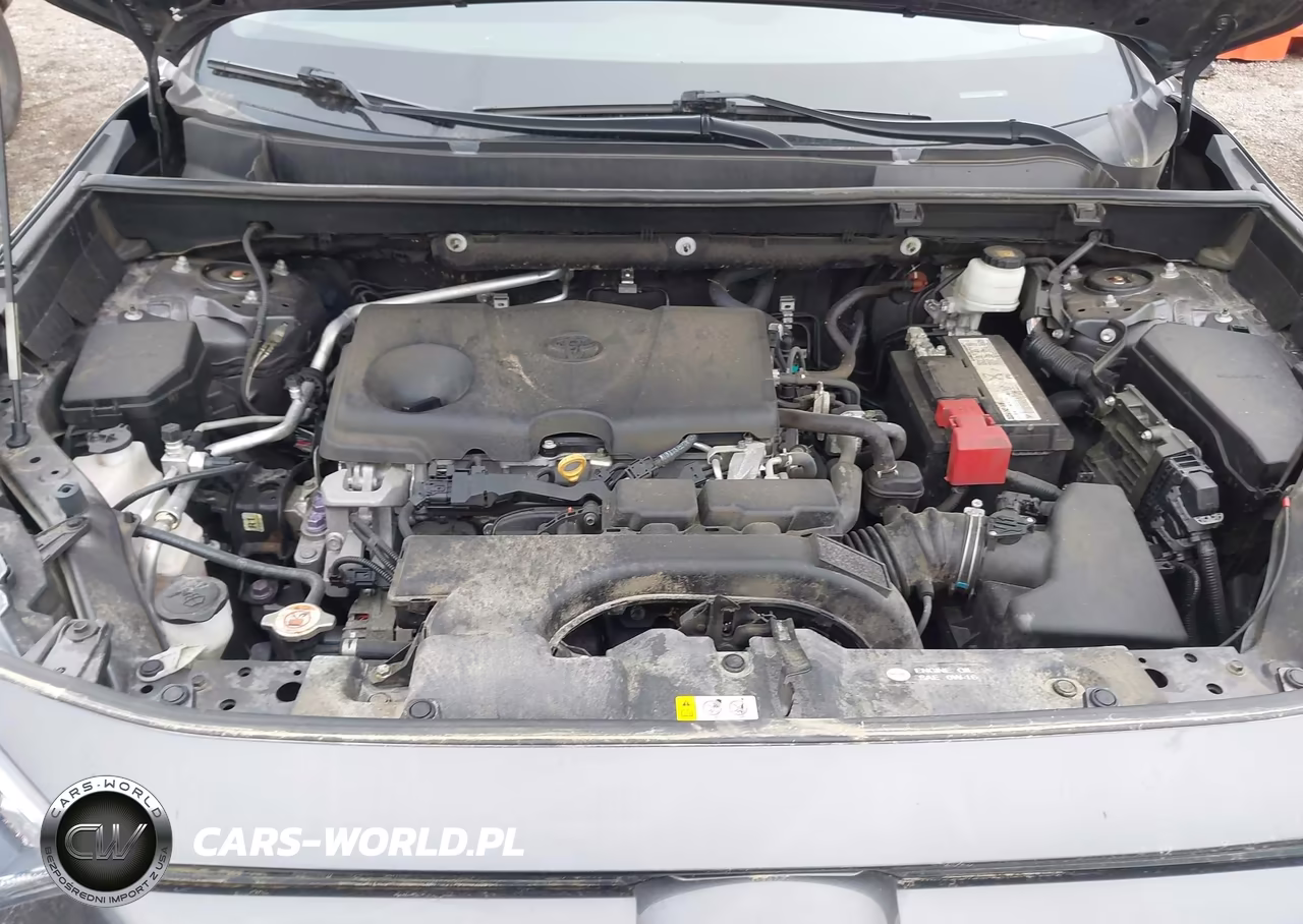 2019 Toyota Rav4 Xle VIN:2T3P1RFV9KW025738 - 10