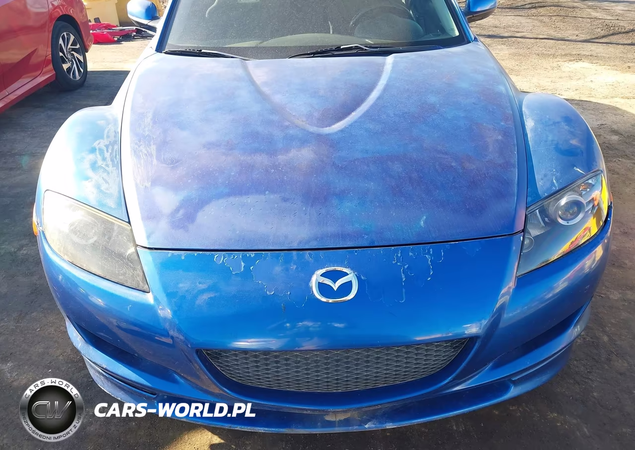 2004 Mazda Rx-8 6 Speed Manual VIN:JM1FE173340134556 - 6