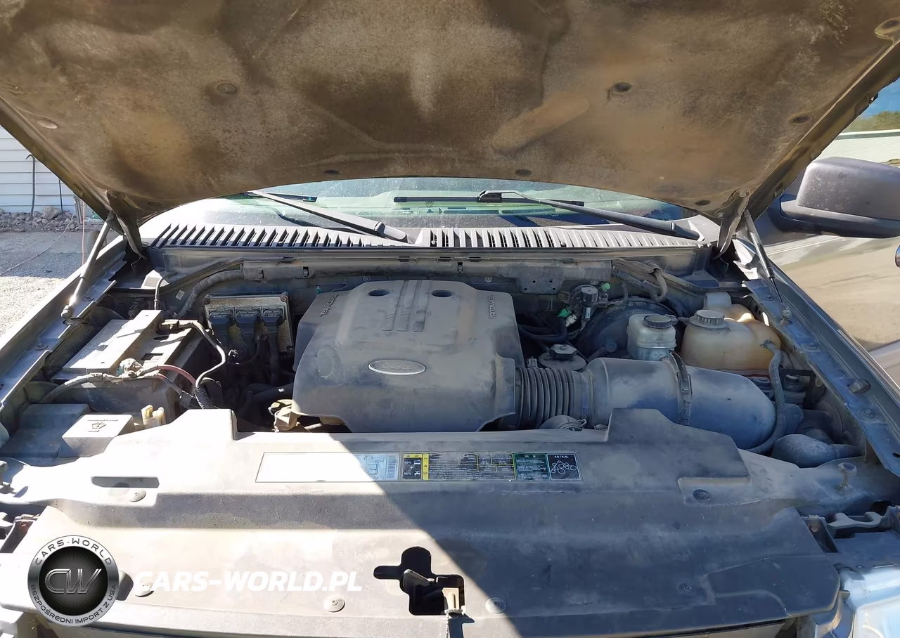 2003 Ford Expedition Xlt VIN:1FMFU16W13LB06780 - 10
