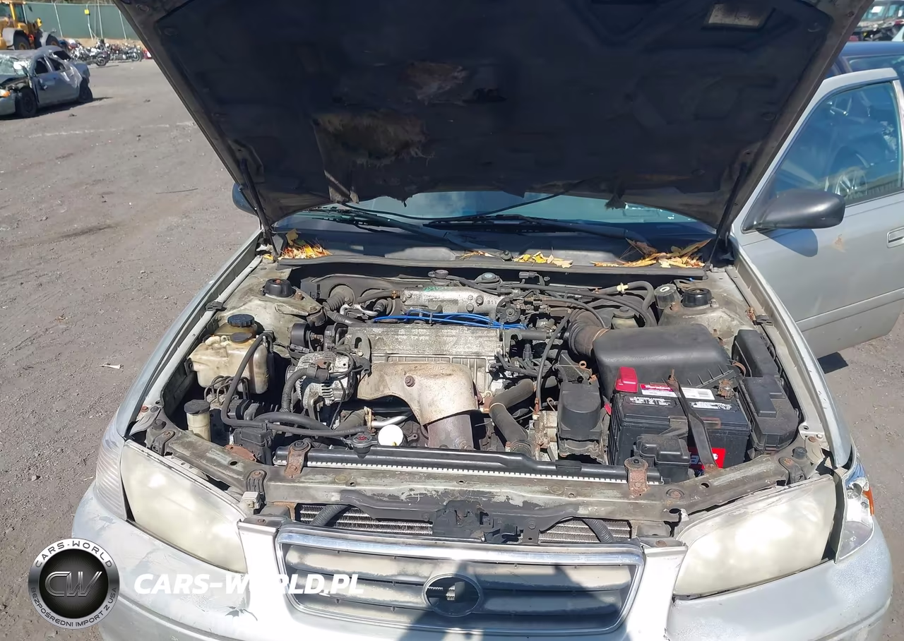 2000 Toyota Camry Le VIN:4T1BG22K9YU645471 - 10