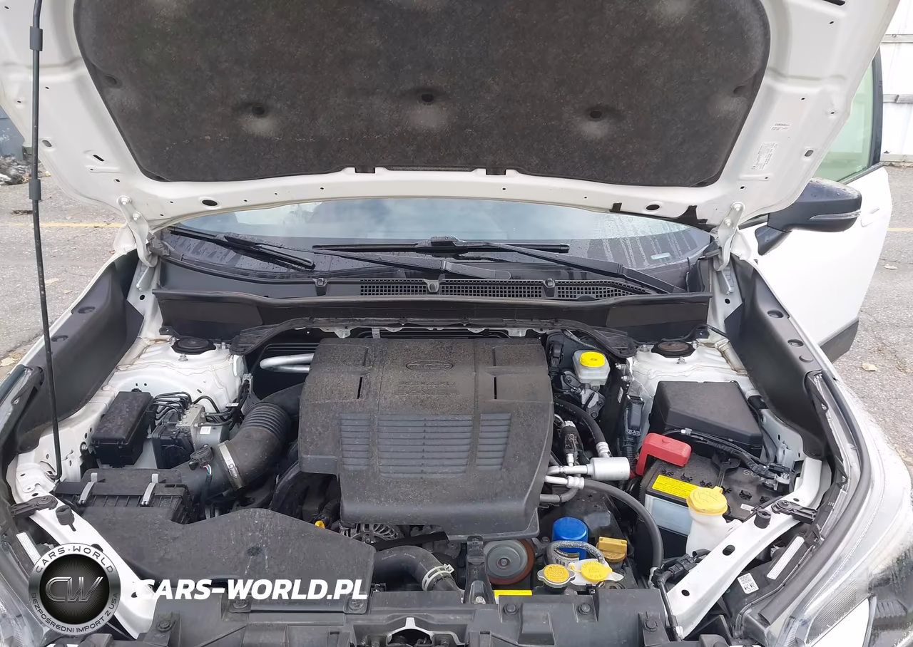 2024 Subaru Forester Wilderness VIN:JF2SKAJC0RH438003 - 10