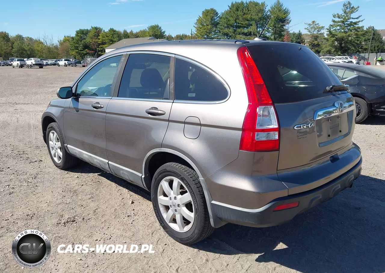 2009 Honda Cr-V Ex-L VIN:5J6RE38749L024190 - 3