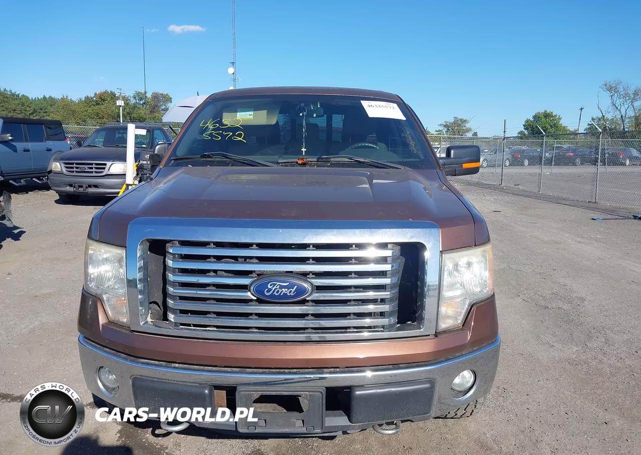2011 Ford F-150 Xlt VIN:1FTFW1EF1BFB11393 - 12
