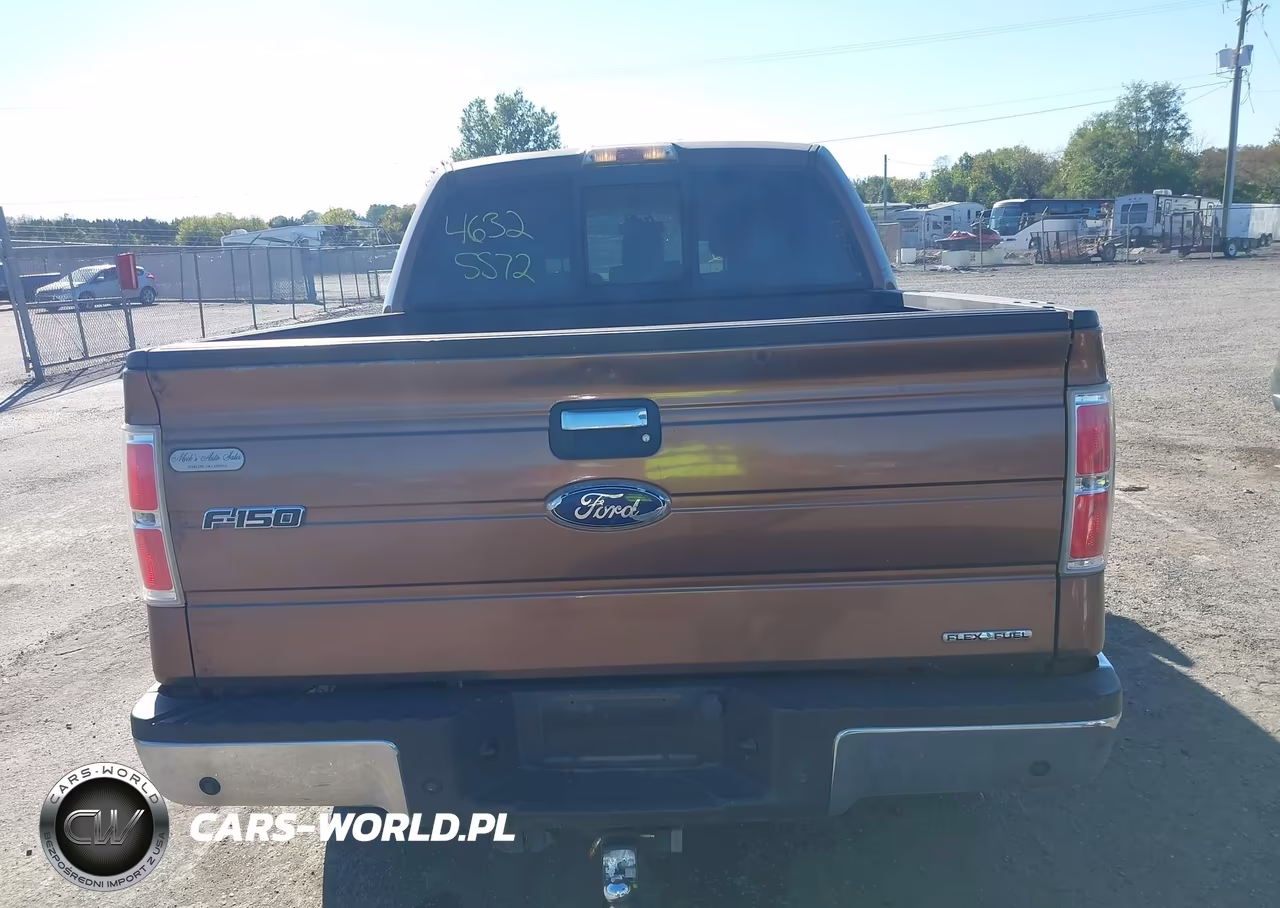 2011 Ford F-150 Xlt VIN:1FTFW1EF1BFB11393 - 16