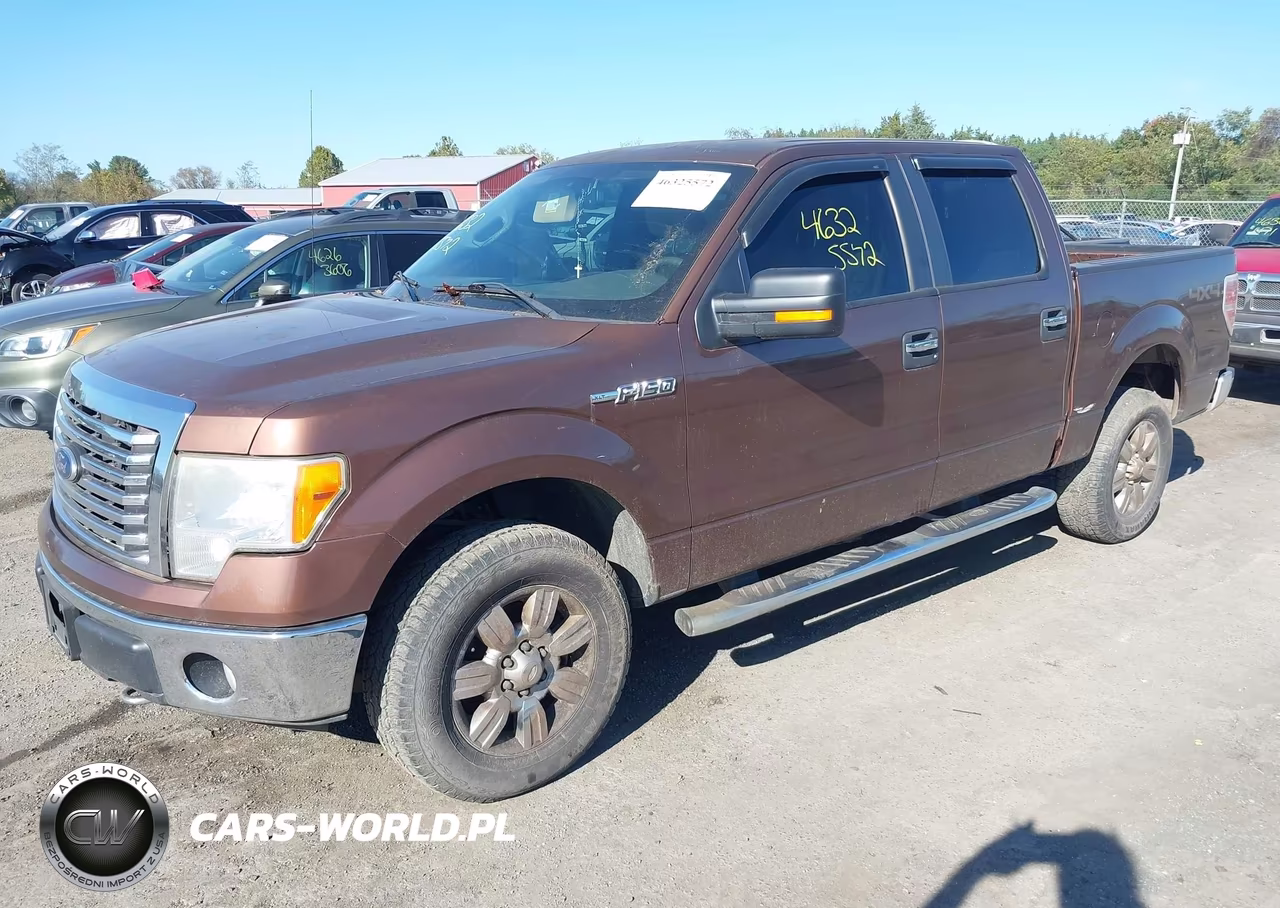 2011 Ford F-150 Xlt VIN:1FTFW1EF1BFB11393 - 2