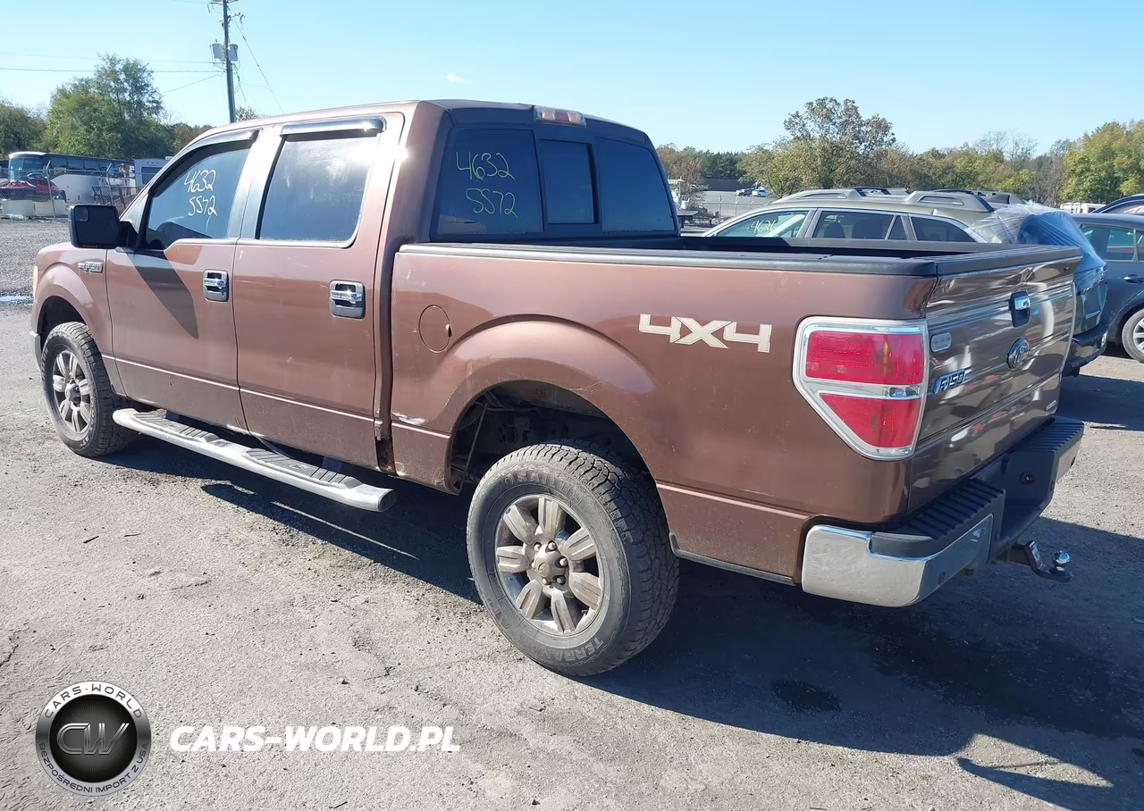 2011 Ford F-150 Xlt VIN:1FTFW1EF1BFB11393 - 3