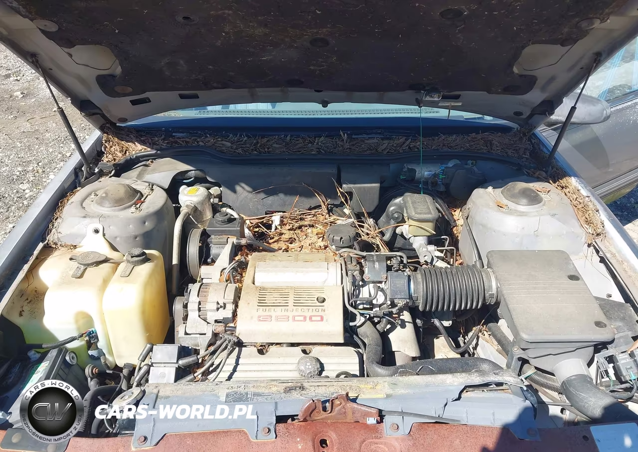 1990 Oldsmobile Delta 88 Royale VIN:1G3HN54C4L1845552 - 10