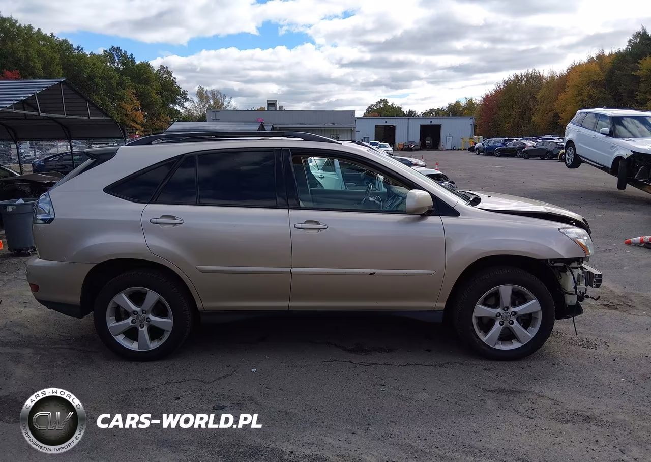 2004 Lexus Rx 330 VIN:2T2HA31U24C034385 - 14