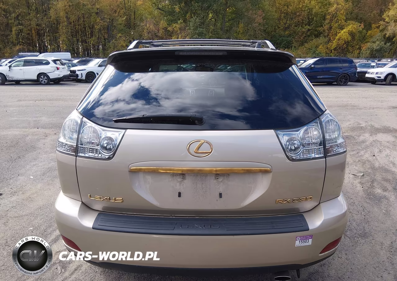 2004 Lexus Rx 330 VIN:2T2HA31U24C034385 - 17