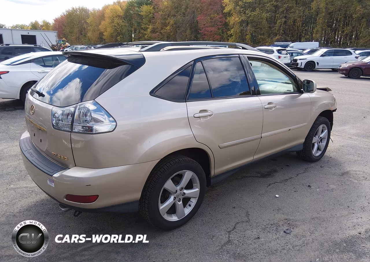 2004 Lexus Rx 330 VIN:2T2HA31U24C034385 - 4