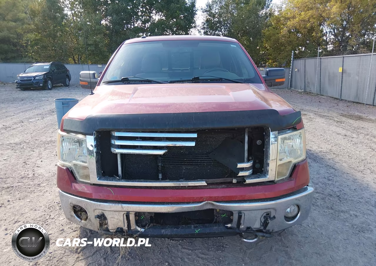 2010 Ford F-150 Fx4-Lariat-Xl-Xlt VIN:1FTFX1EV7AFC24154 - 13